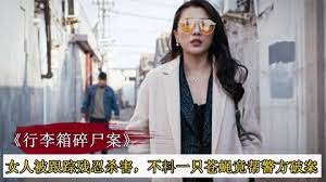 漂亮女人被跟踪残忍杀害，不料一只苍蝇，竟帮警方破案！封面图