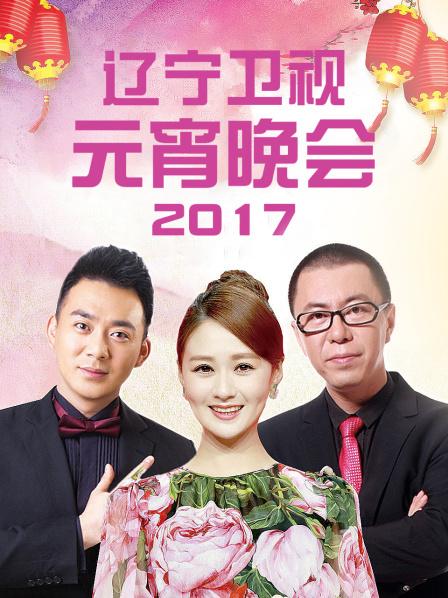 辽宁卫视元宵晚会 2017封面图