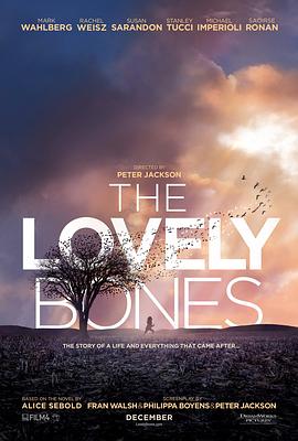 可爱的骨头 The Lovely Bones[电影解说]封面图