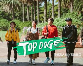 TOP DOG封面图