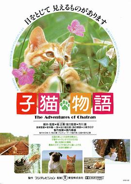 小猫的故事封面图