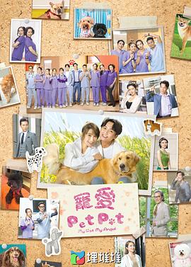 宠爱PetPet(国语)封面图