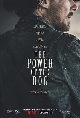 犬之力 The Power of the Dog[电影解说]封面图