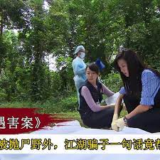 五岁男孩被抛尸野外，不料江湖骗子一句话，竟帮警方破案，悬疑片封面图