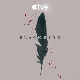 黑鸟 Black Bird[电影解说]封面图