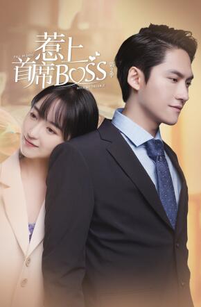 惹上首席BOSS 第二季封面图